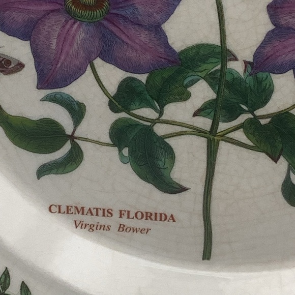 Portmeirion Botanic Garden Clematis Florida Dinner Plate - Picture 2 of 5